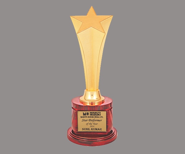 Trophy Creator_Metal Trophies