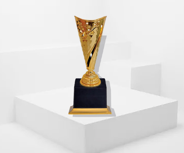 Sports Trophies for expo in delhi ncr india 