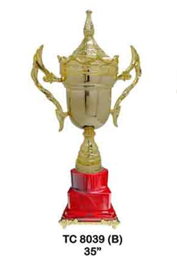 Big Trophy Cup Supplier in Delhi