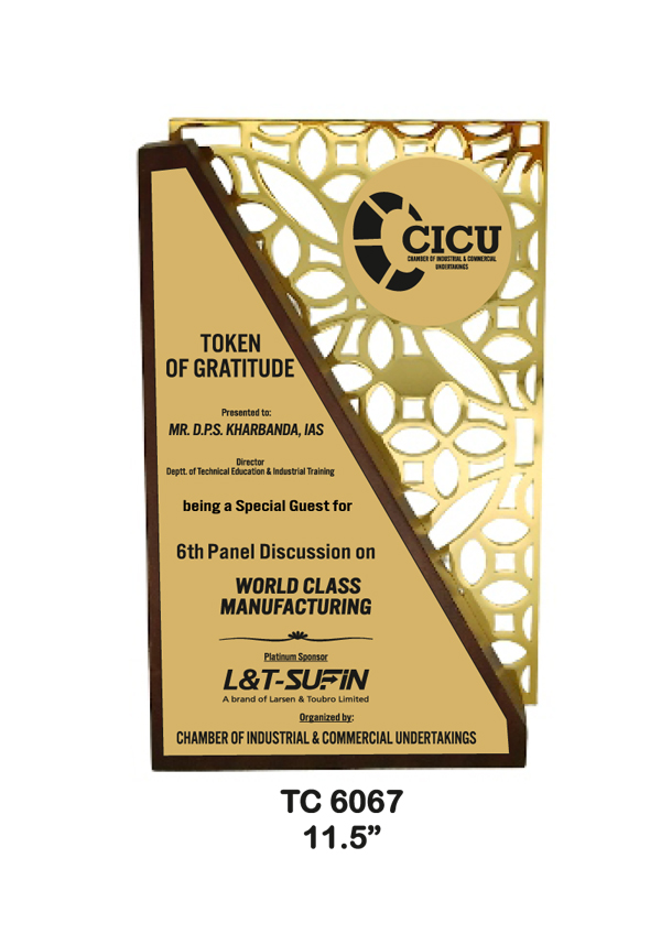 Metal Trophy shop in Noida