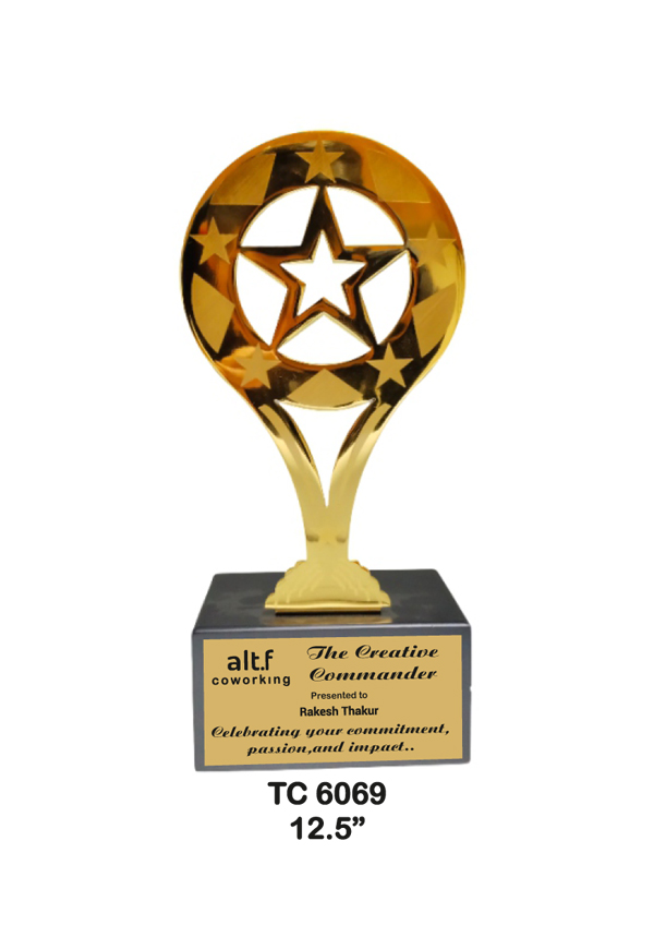 Metal Trophy shop in Noida