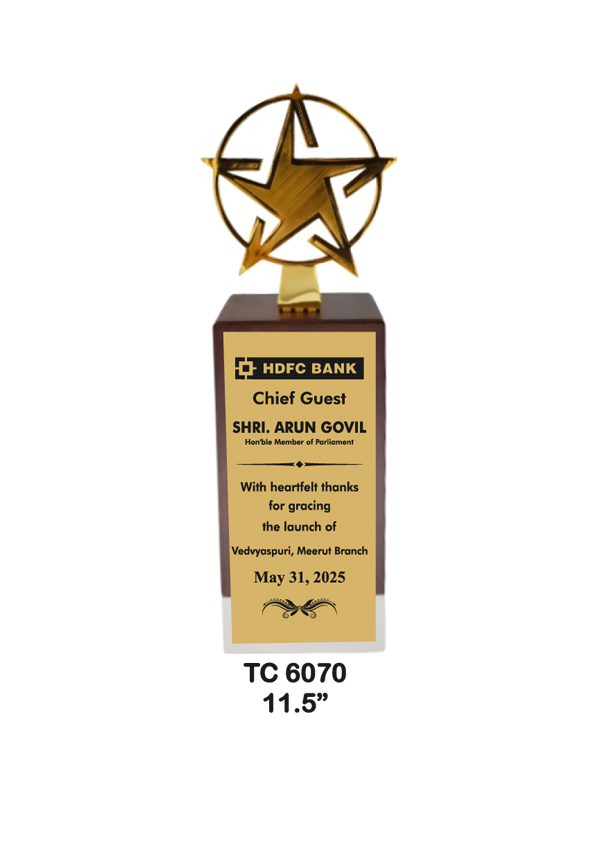 Metal Trophy shop in Noida
