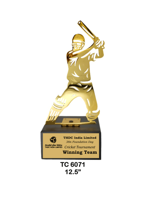 Metal Trophy shop in Noida