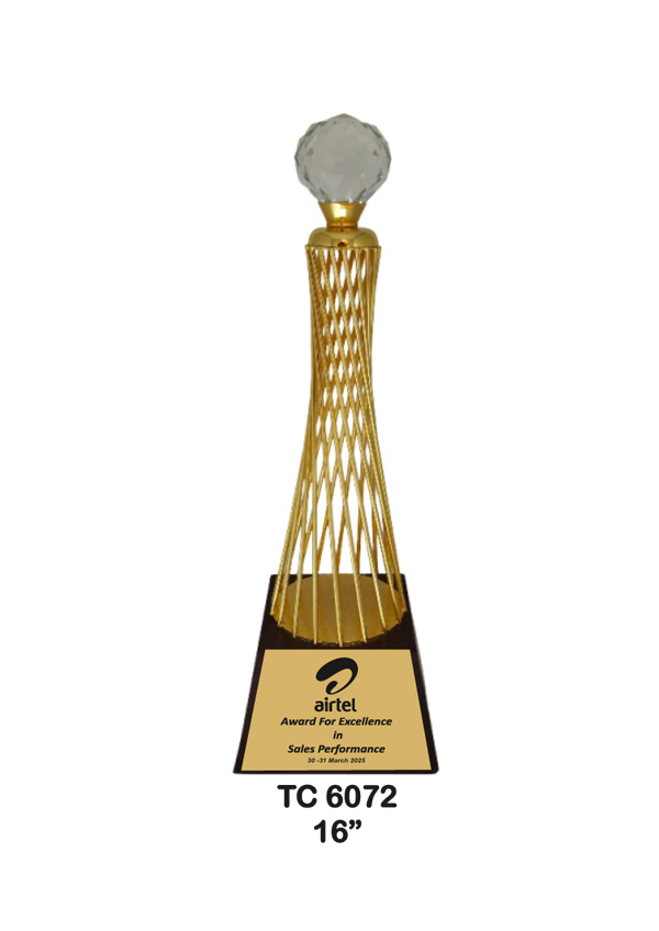 Metal Trophy shop in Noida