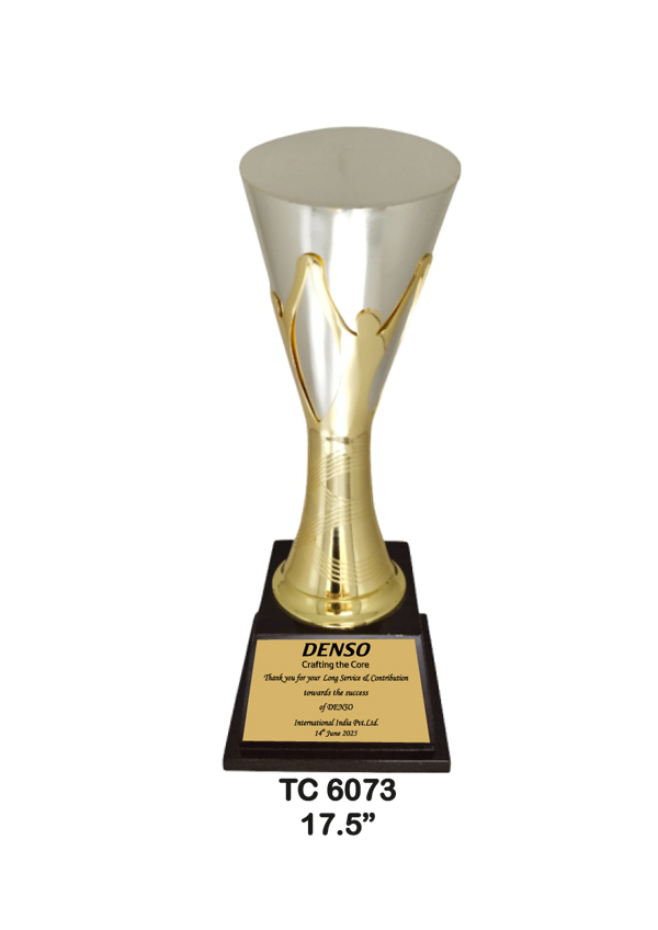 Metal Trophy shop in Noida