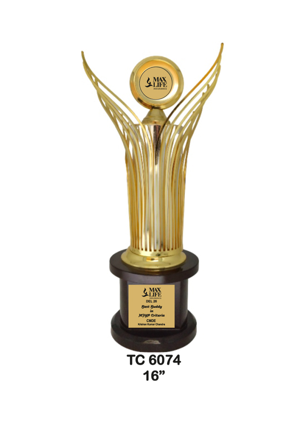 Metal Trophy shop in Noida