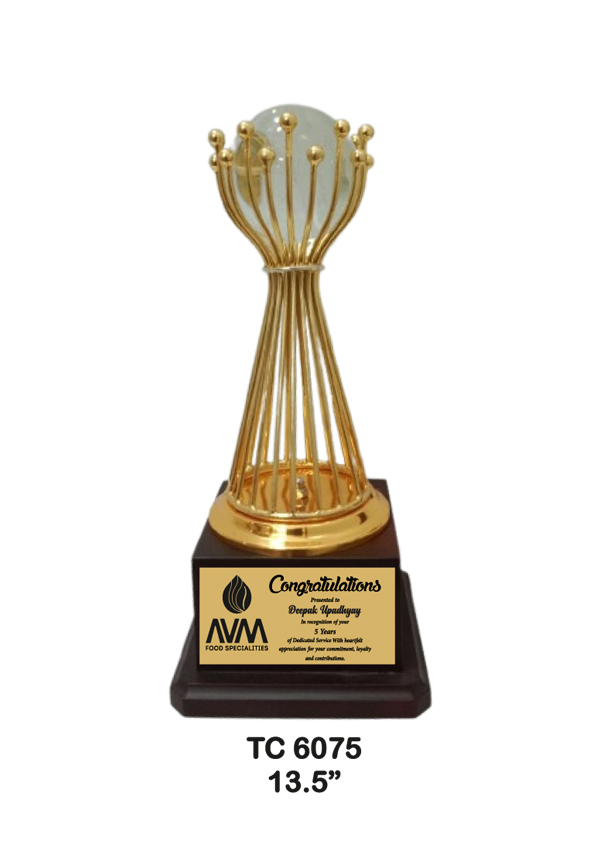 Metal Trophy shop in Noida