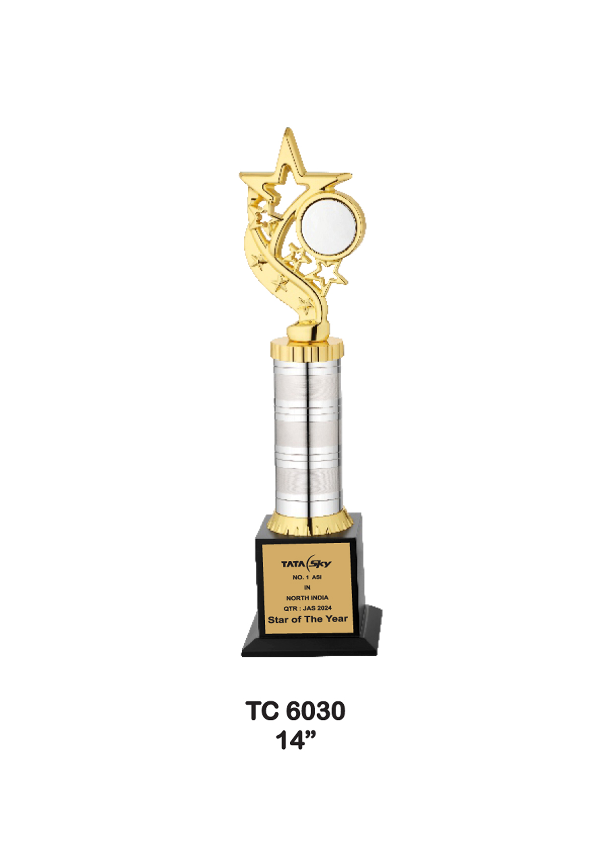 Metal Trophy for Cricket in India