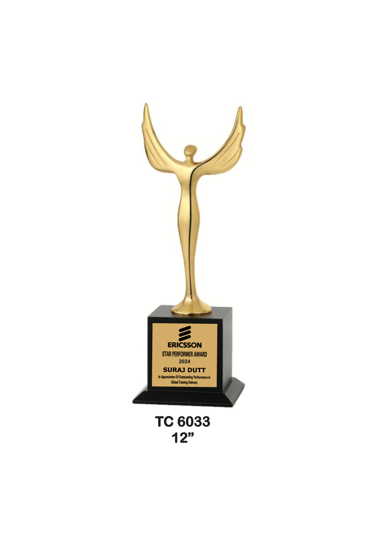 Metal Trophy for College in India