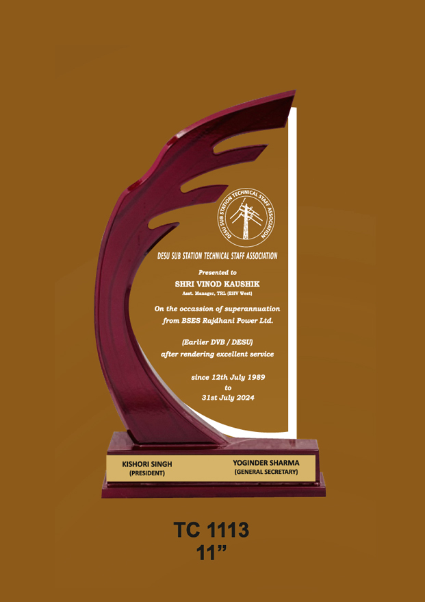 Acrylic Trophies maker for play schools in Delhi   