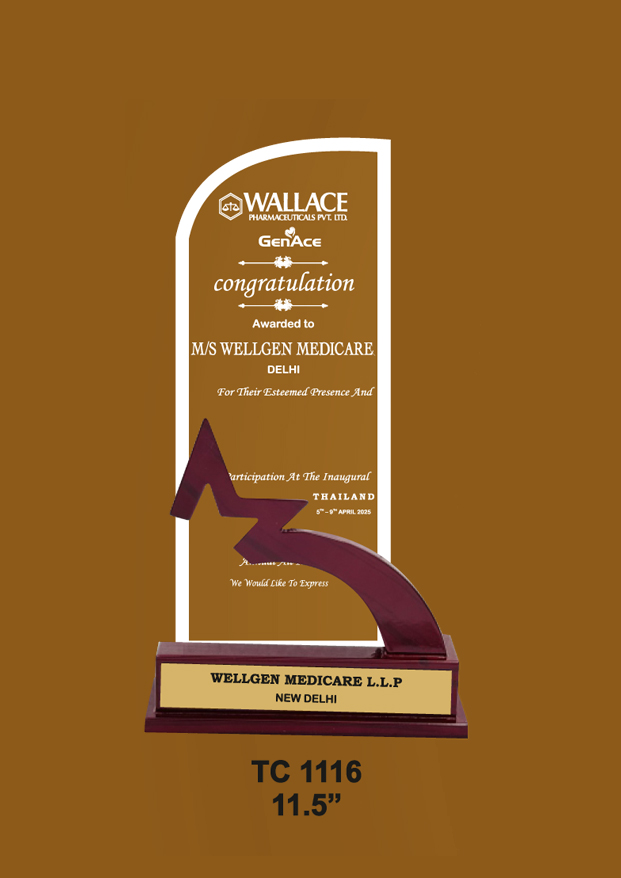 Acrylic Trophies maker for Dance Competitions in Delhi   