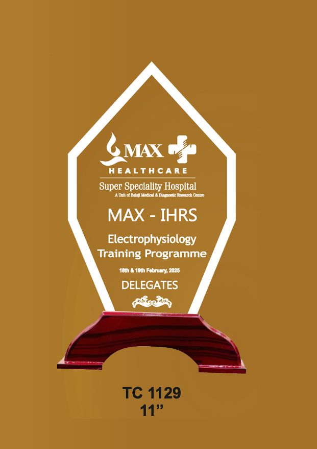 Acrylic Trophies maker for play schools in Delhi   