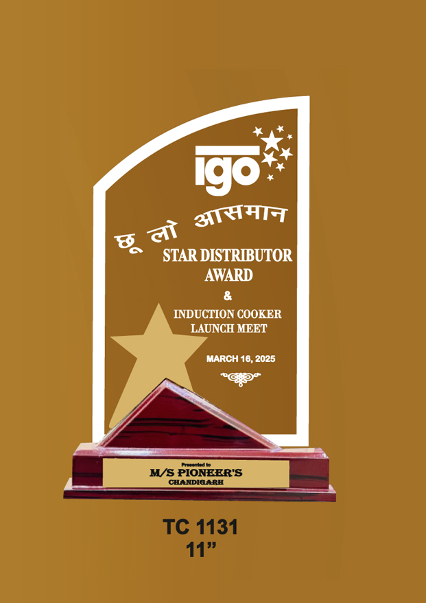 Acrylic Trophies maker for Dance Competitions in Delhi   
