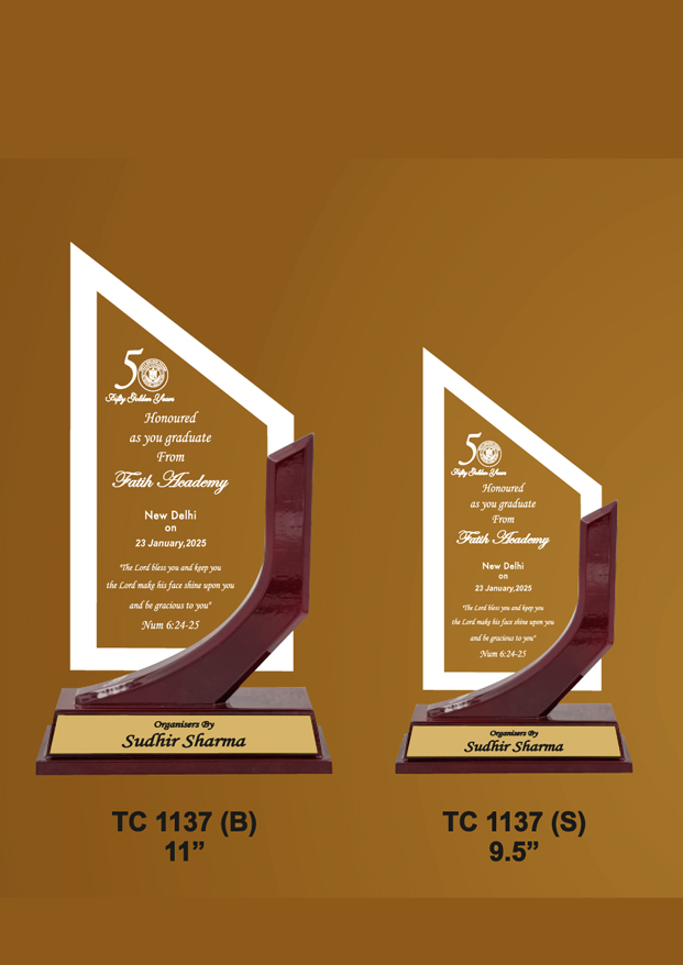 Acrylic Trophies maker for play schools in Delhi   