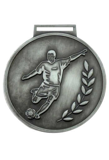 customized medals for corporates in noida