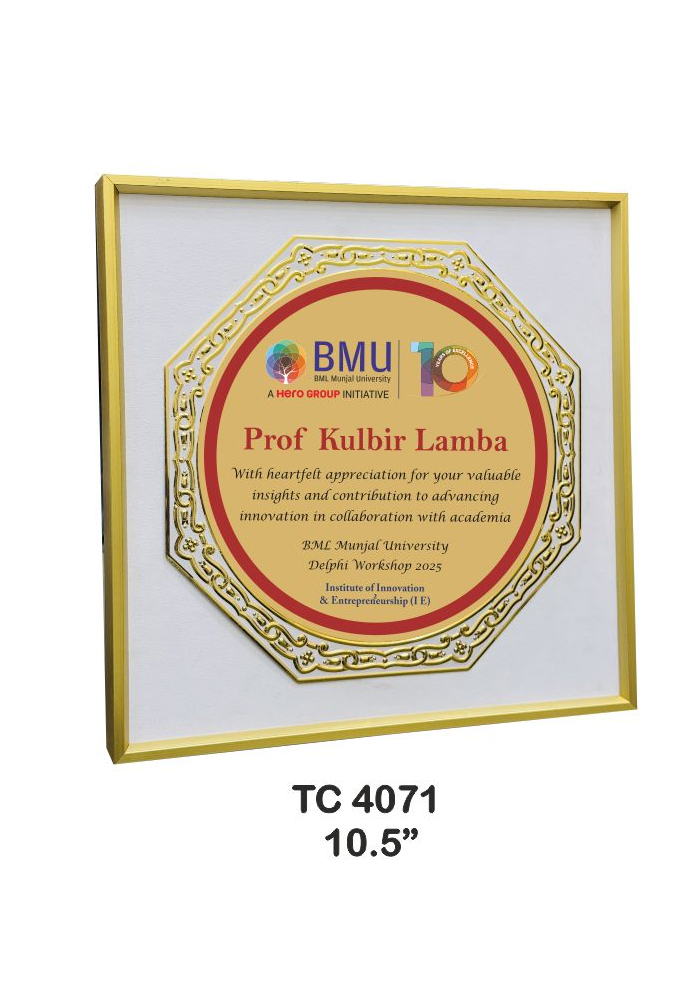 Metal Frame trophies retail store in delhi
