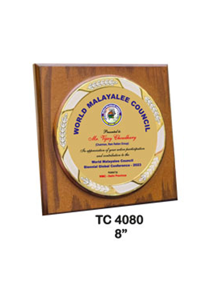 Metal Frame trophies retail store in delhi