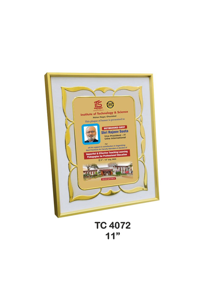 Metal Frame trophies retail store in delhi