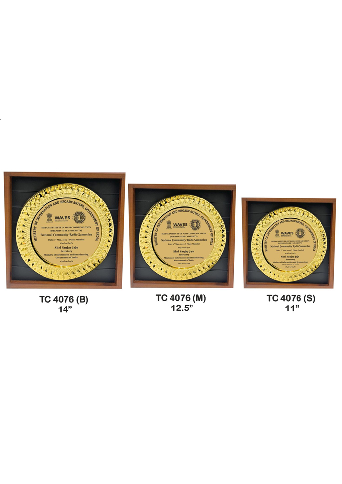 Metal Frame trophies retail store in delhi