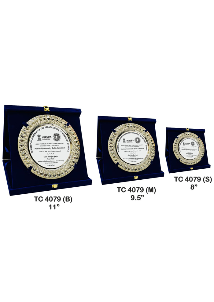 Metal Frame trophies retail store in delhi