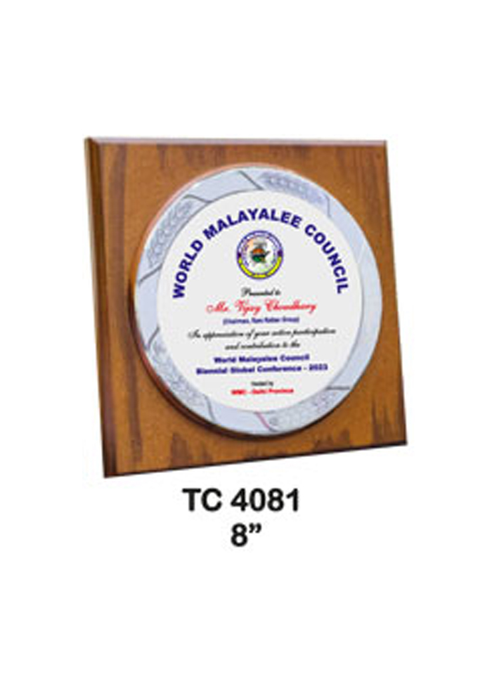 metal frame trophy in delhi