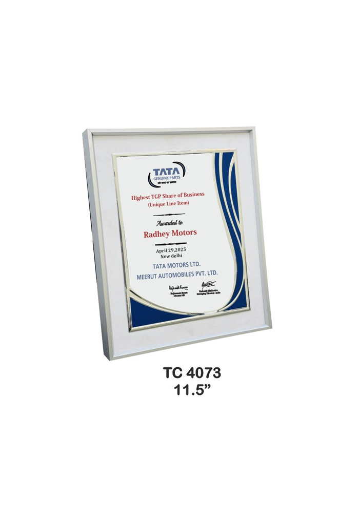 Metal Frame trophies retail store in delhi