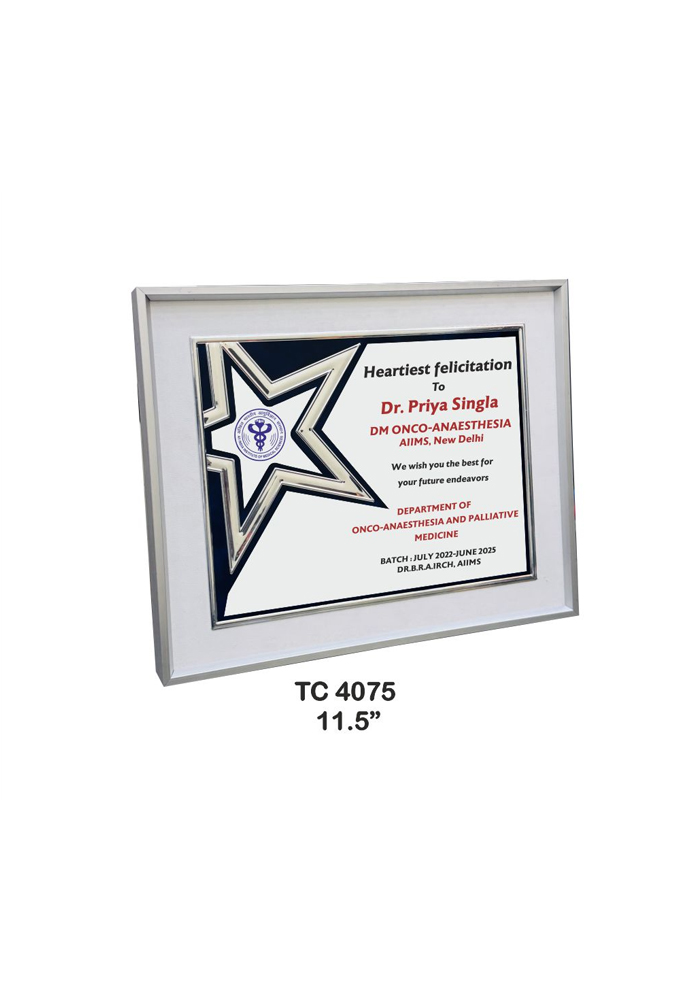 Metal Frame trophies retail store in delhi