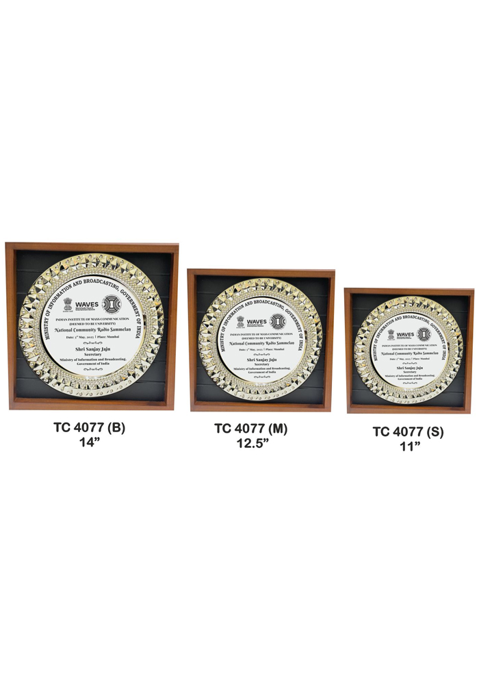 Metal Frame trophies retail store in delhi