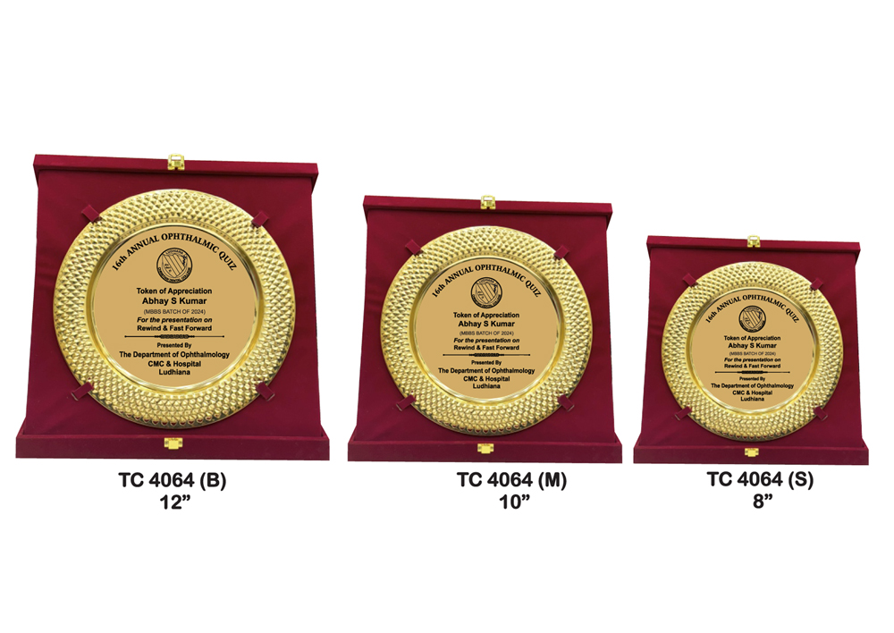 Shop for Corporate metal frame trophies in noida