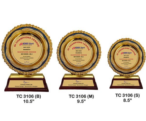 Plastic Frame Trophies Shop near me noida