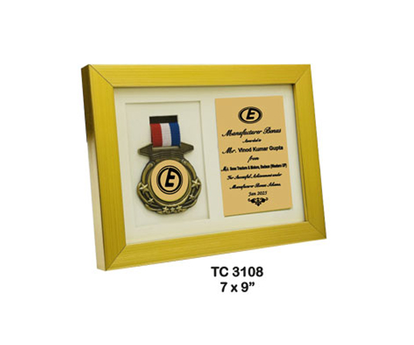 Plastic Frame Trophies Shop near me noida