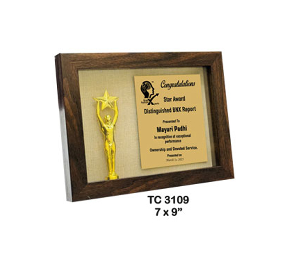 Plastic Frame Trophies Shop