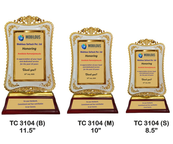 Plastic Frame Trophies Shop near me noida