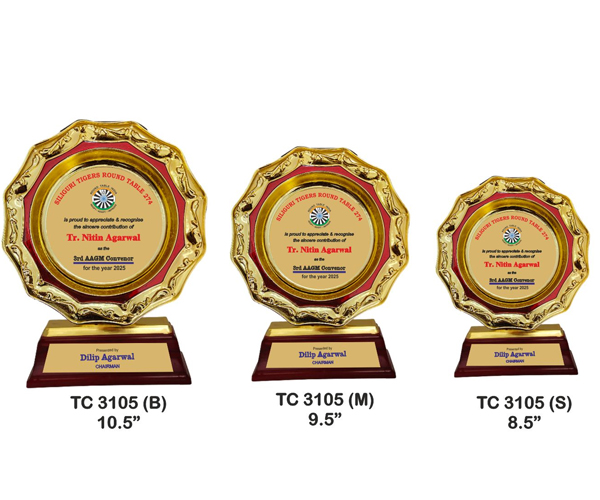 Plastic Frame Trophies Shop