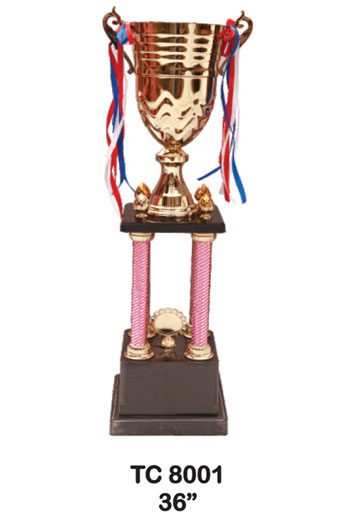 Big Sports Trophy Manufacturer in Delhi India