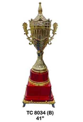 Buy customize Sports trophy for Corporate Events in Delhi