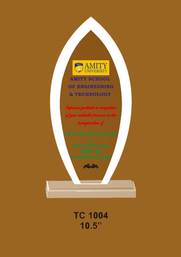 Acrylic Trophy in Delhi