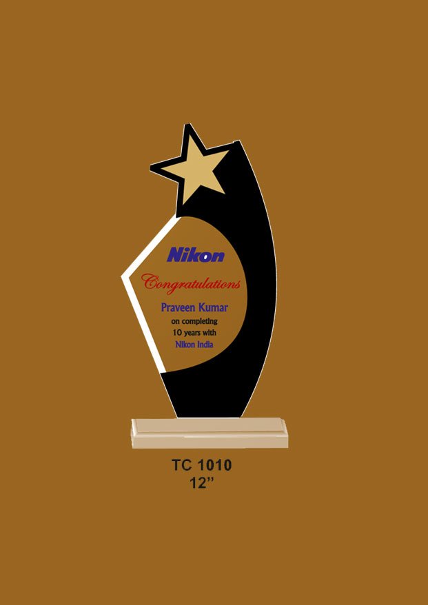 Acrylic Trophy in Delhi
