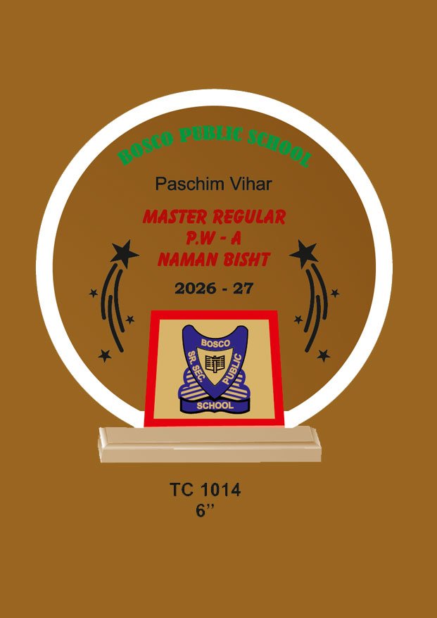 Acrylic Trophy in Delhi