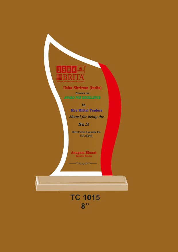 Acrylic Trophy in Delhi