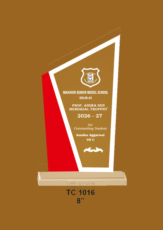 Acrylic Trophy in Delhi