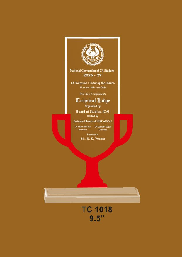 Acrylic Trophy in Delhi