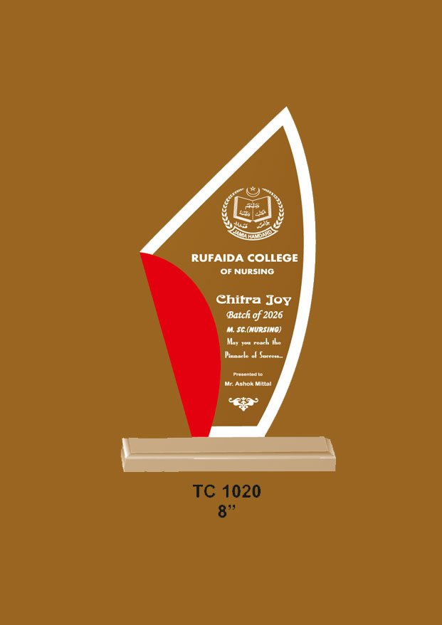 Acrylic Trophy in Delhi