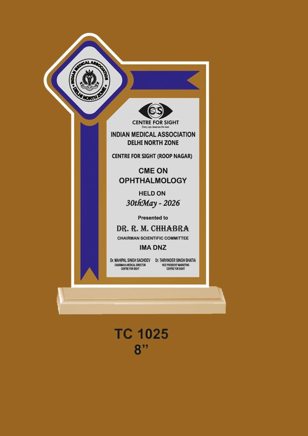 Acrylic Trophy in Delhi
