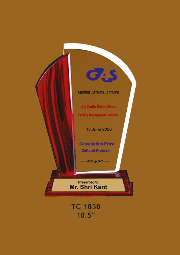 Acrylic Trophy in Delhi