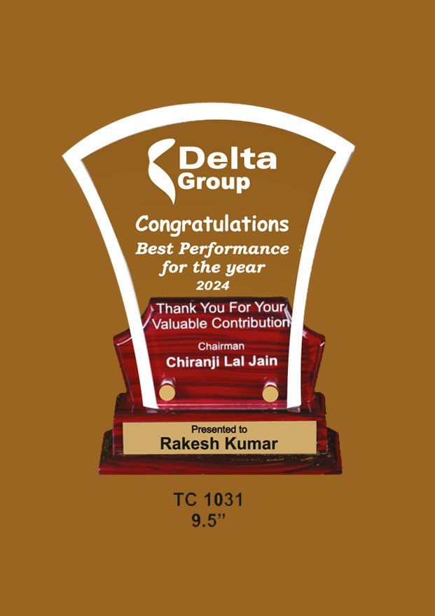 Acrylic Trophy in Delhi