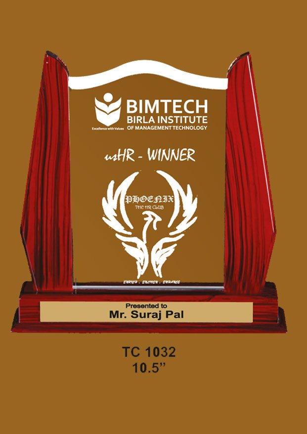 Acrylic Trophy in Delhi