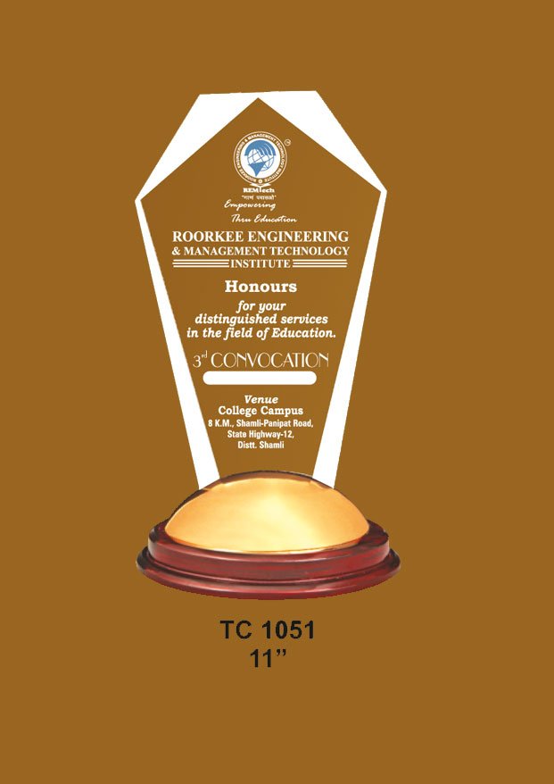 Acrylic Trophy in Delhi