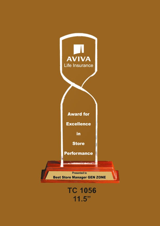 Acrylic Trophy in Delhi