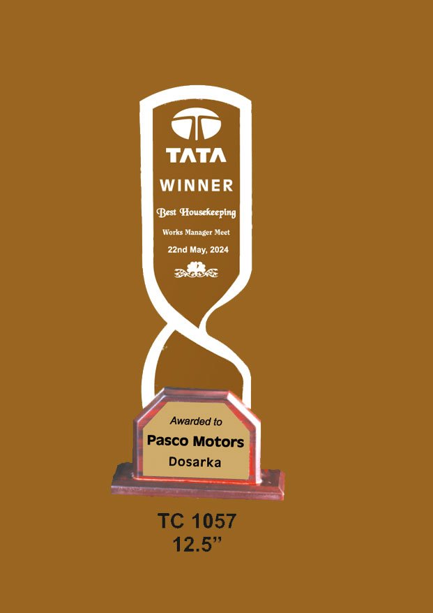 Acrylic Trophy in Delhi